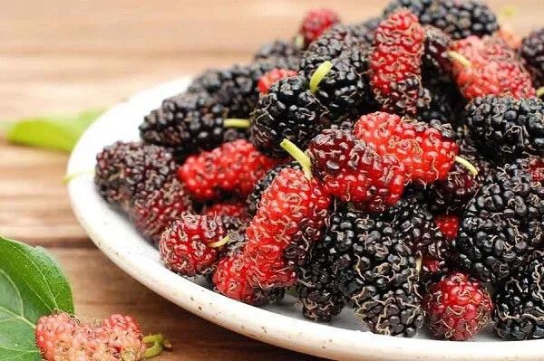 Mulberries