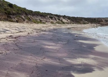 decoding the beautiful beaches of hong luu in australia 134954