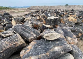 discover the largest mud volcano in southeast asia in vietnam over 30 million years old many new species discovered 135029