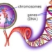 discovery of abnormal phenomena 3897