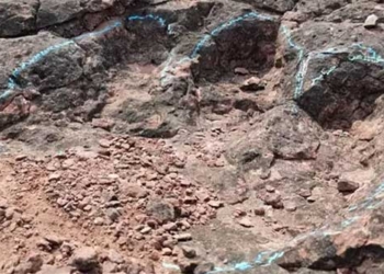 discovery of dinosaur footprints in volcanic rock aged about 120 million years 134622