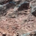 discovery of dinosaur footprints in volcanic rock aged about 120 million years 134622