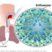 discovery of key protein in h5n1 virus 4146