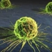 discovery of new compounds that could fight cancer 3998