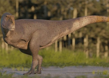 discovery of new dinosaur species in argentina 134498