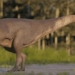 discovery of new dinosaur species in argentina 134498