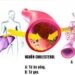 disorder color treatment without medication 4639