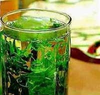 drinking green tea treating multiple sclerosis 4231