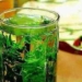 drinking green tea treating multiple sclerosis 4231