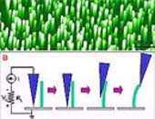 energy conversion could people become batteries 5059