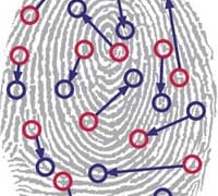 fingerprint personality test 4223