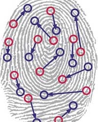 fingerprint personality test 4223