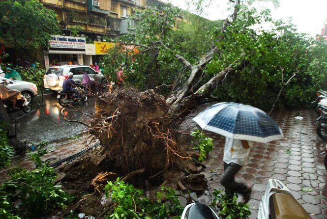 Stay away from tall trees during a thunderstorm