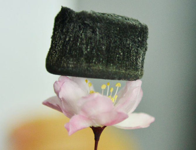 A block of graphene aerogel can float on grass or even on top of flowers.