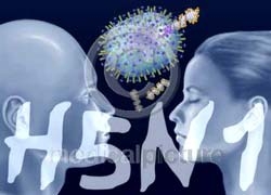 h5n1 virus evolving 4668