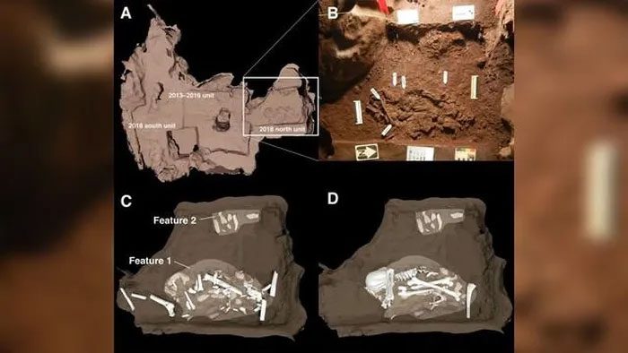 Bones found deep underground in the Cradle of Humankind cave