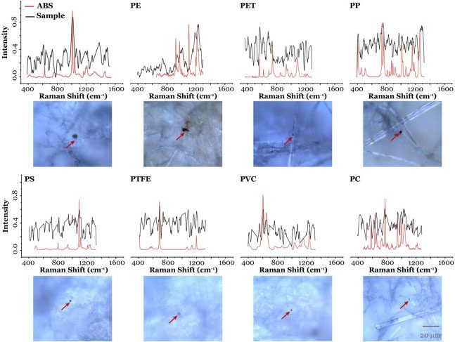 Scientists captured images of 8 types of microplastics in human semen samples.