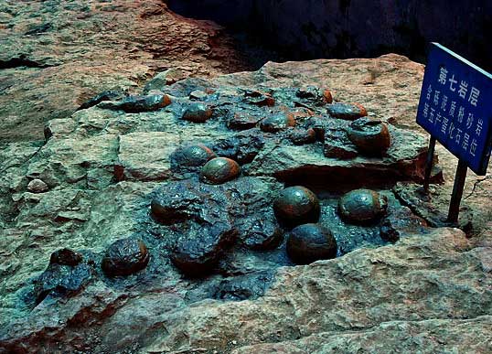  Dinosaur egg fossils are protected as "national treasures." 