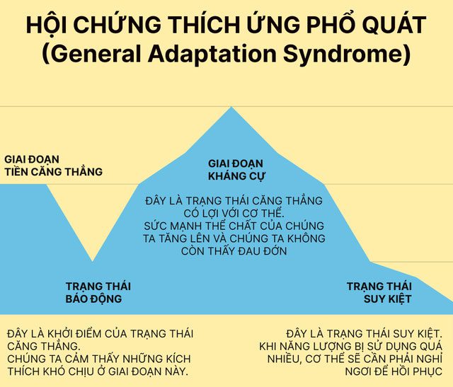 General Adaptation Syndrome