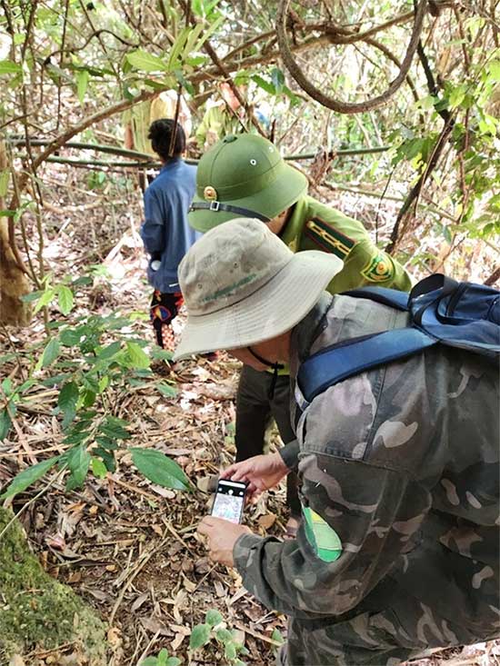 Photographing and collecting evidence regarding the tiger.