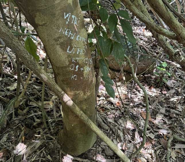 Marking the area where the tiger was seen.