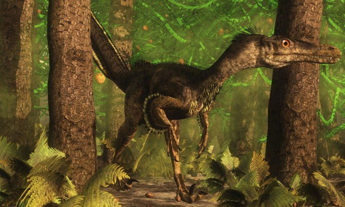 Simulation of the Velociraptor dinosaur.