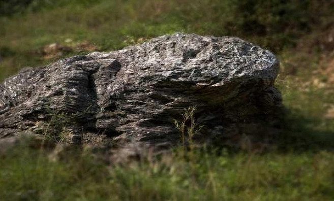 The villagers have worshipped a stone shaped like a toad at the village entrance for generations.