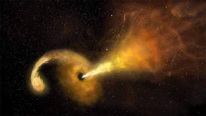 Black Hole Tearing a Star