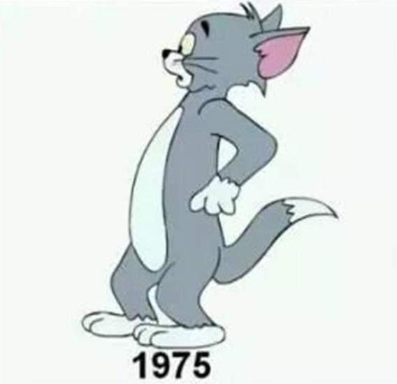 In 1975, Tom's image was changed to that of a taller cat.