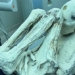 mexican journalists want to bring alien body to the us for further investigation 135007