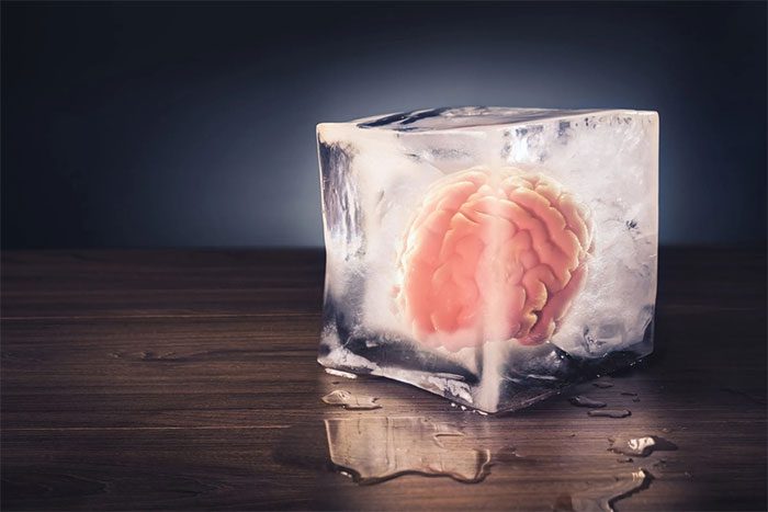 Frozen brain tissue successfully revived for the first time.