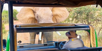 moment with hung du lao into attack vehicles into many tourists 133505