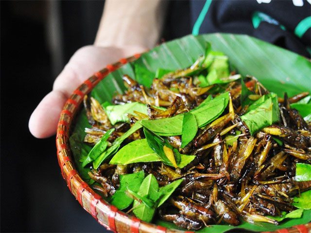 Fried Grasshoppers