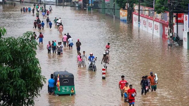 mua lu o sri lanka 1