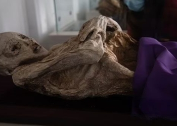 mysterious mummies in the town of colombia 134127