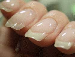 Nail biopsy can reveal osteoporosis
