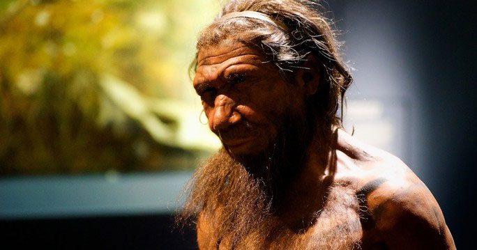 Wax figure depicting Neanderthals