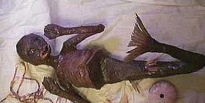 The Odd Corpses of Mermaids