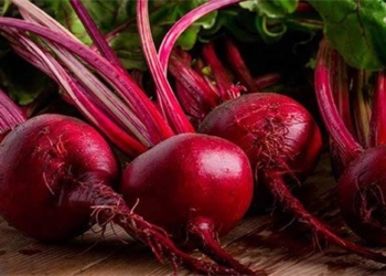 not just a supplement food that boosts libido on par with viagra 134199