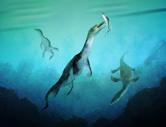 Portrait of the newly identified Triassic aquatic monster