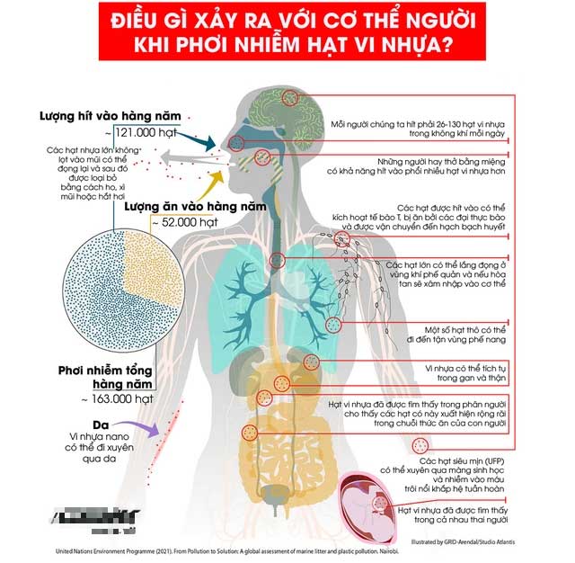 Microplastic exposure