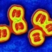 preventing brain inflammation caused by brain tumors article 4466