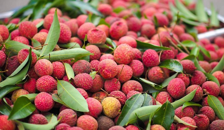 Lychee contains many nutrients and vitamins that help combat various diseases.