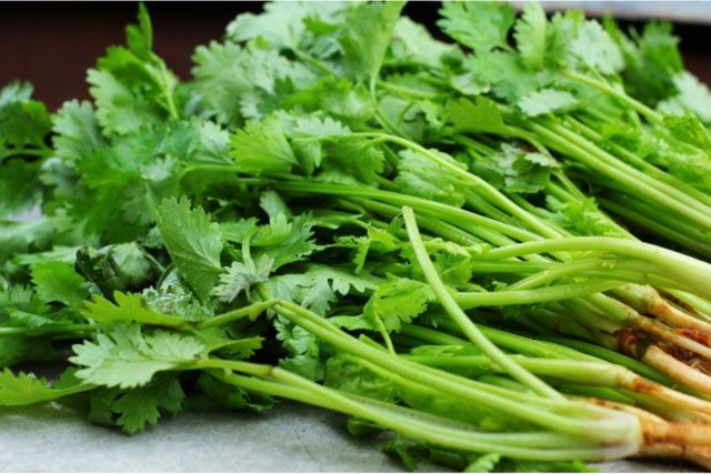 Cilantro seeds, extracts, and oil can effectively lower blood sugar.