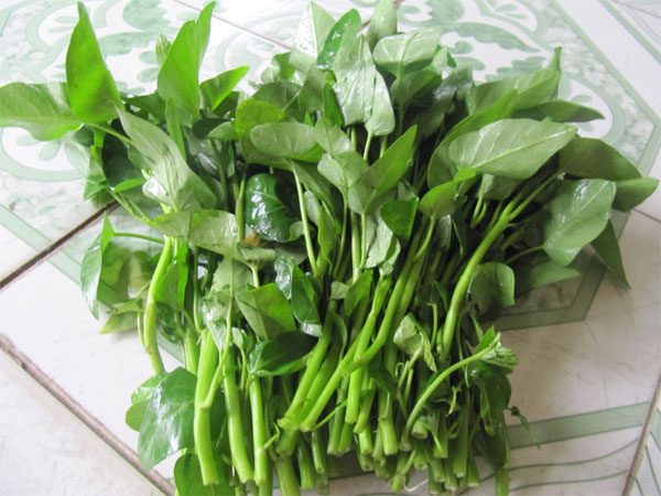 Avoid eating raw water spinach or consuming it when not thoroughly cooked...