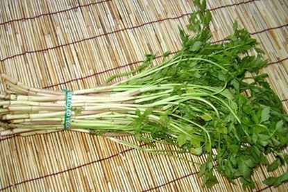 The miraculous medicinal benefits of water celery