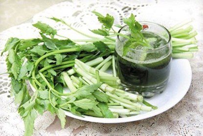 The miraculous medicinal benefits of water celery