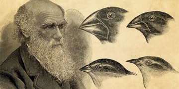 reason for removing darwins theory of evolution from textbook 128305