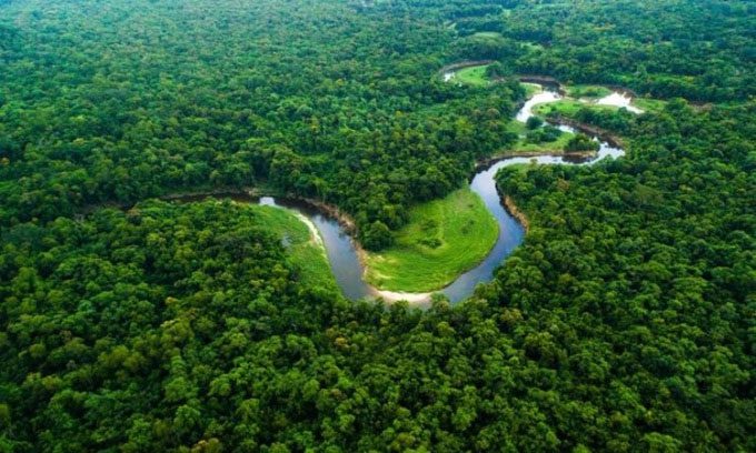 Aerial view of the Amazon rainforest in South America.