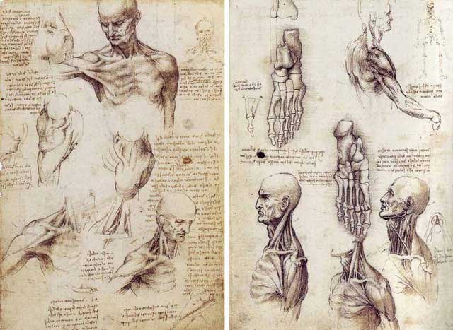 Da Vinci had profound knowledge of human anatomy